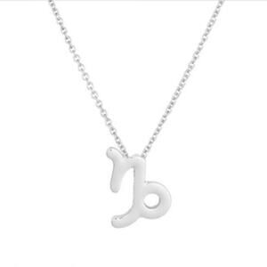 Astrology Necklace Capricorn Silver Tone Constellation Necklace Gift